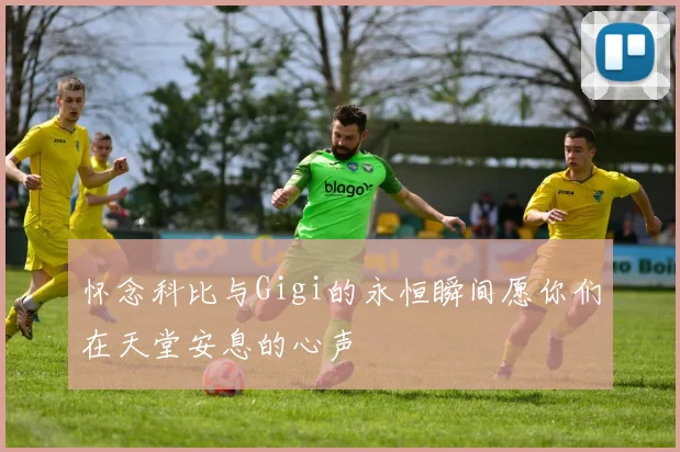 怀念科比与Gigi的永恒瞬间愿你们在天堂安息的心声